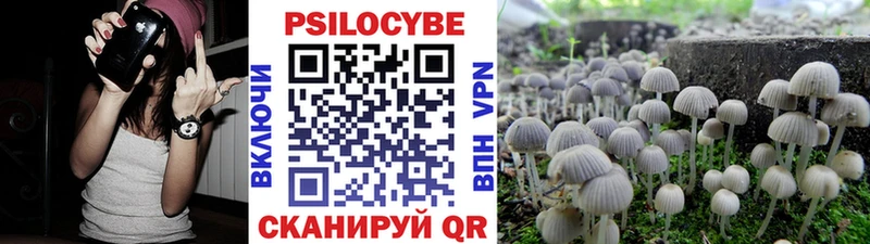 Галлюциногенные грибы Cubensis  наркошоп  Оленегорск 